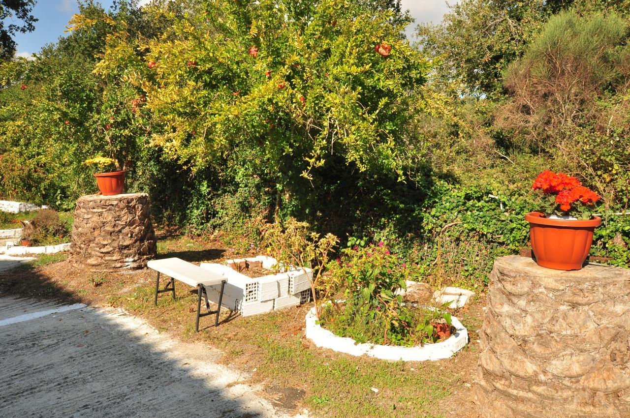 Laskaris Studios Dassia  Exterior photo